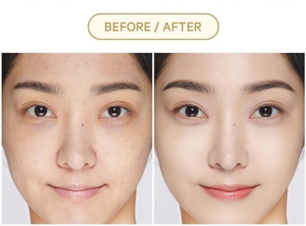 Chosungah, Mega Fit Stick Foundation SPF50+/PA++++, MakeUp, Dryness, Normal Skin
